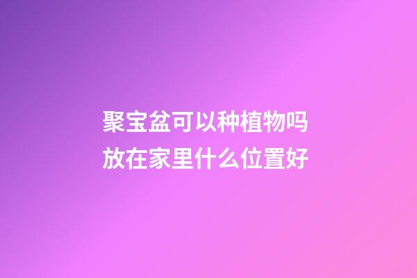 聚宝盆可以种植物吗 放在家里什么位置好